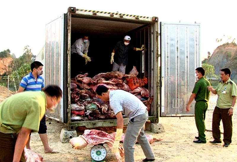 Mua 10 tấn thịt lợn chết thối mang bán kiếm lời - 2