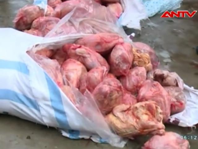 200 kg gà không rõ nguồn gốc "tuồn" về miền Trung