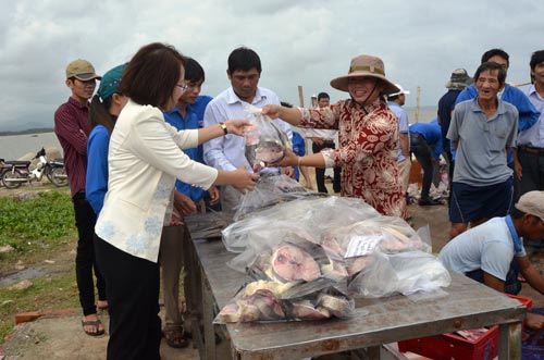 Quảng Ngãi: UBND huyện thu mua cá bớp giúp nông dân